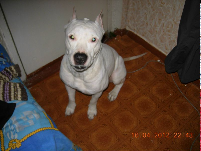 Екатерина Вересова Сергеевна | Красноярск