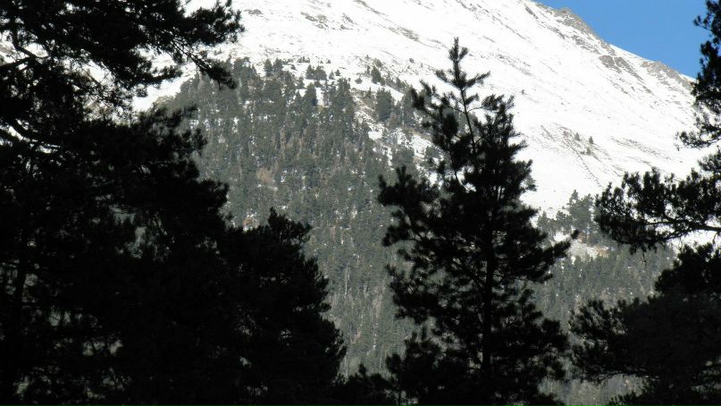 Яна Черепнина | Мариуполь