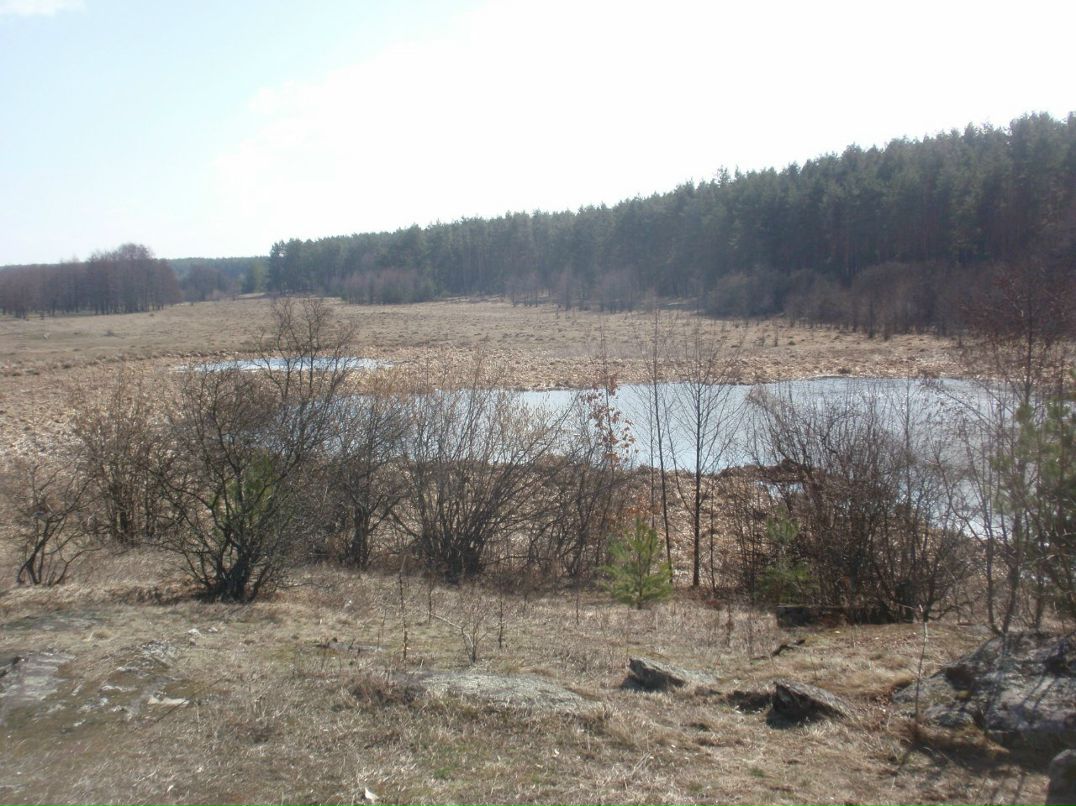 Борис Блаженний | Киев