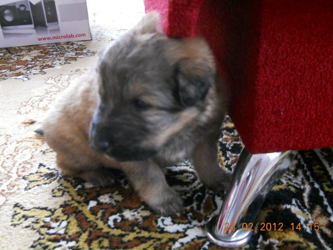 Светлана Хрусталева | Петрозаводск