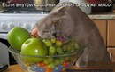 Дмитрий Божко, , 14.03