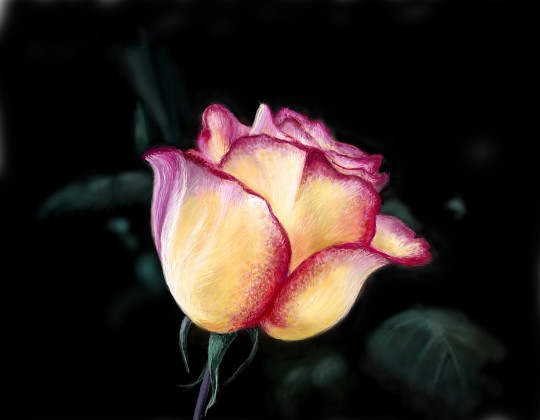 №34, Елена Иванова №34, Елена Иванова