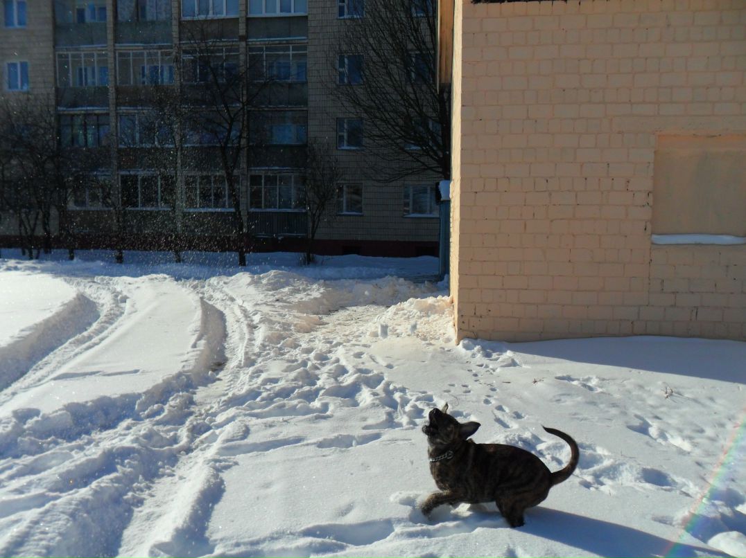 Александр Колодей 웃♥유 | Жлобин