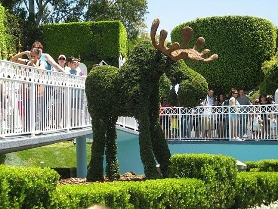 Венера Гаянова | Уфа