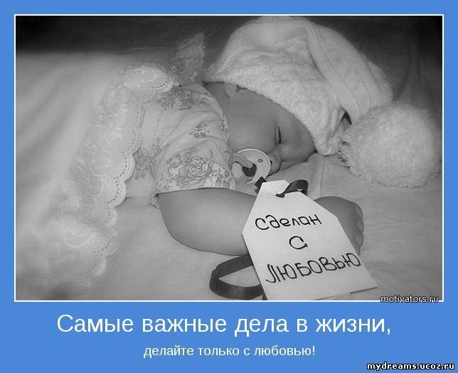 Алексей Курочка | Запорожье