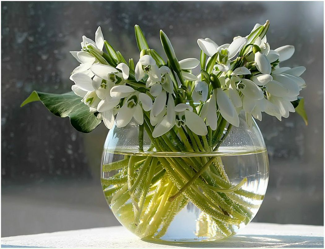 Olga Пустовалова ...Liberian girl... | 