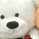 Екатерина Семенец | Рязань