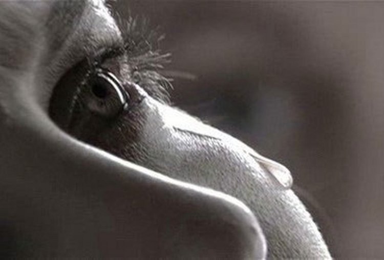 Людмила Гаврилова | Санкт-Петербург