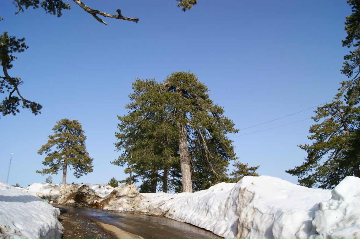 Анатолий Зырянов | Москва