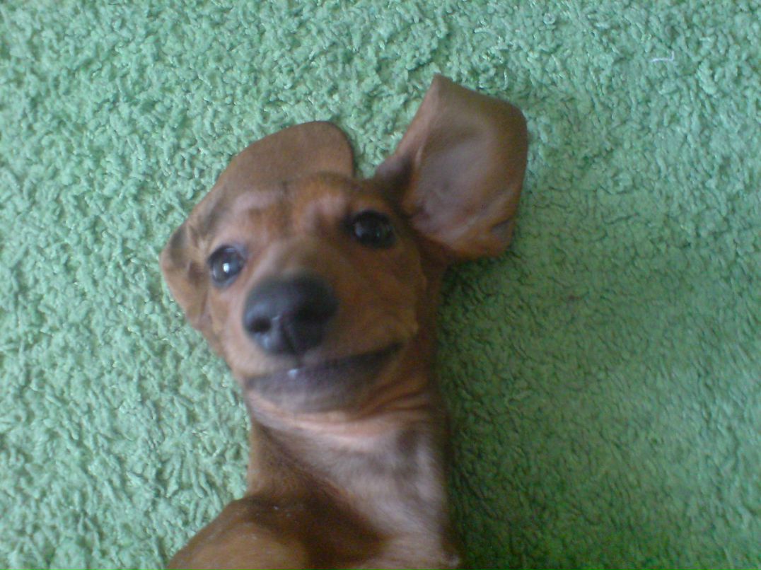 Кристина Аврорская | Новосибирск