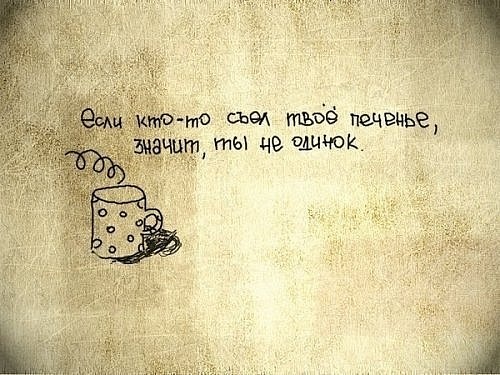 №80, Нора Чемоданова, 36 лет, Киев №80, Нора Чемоданова, 36 лет, Киев