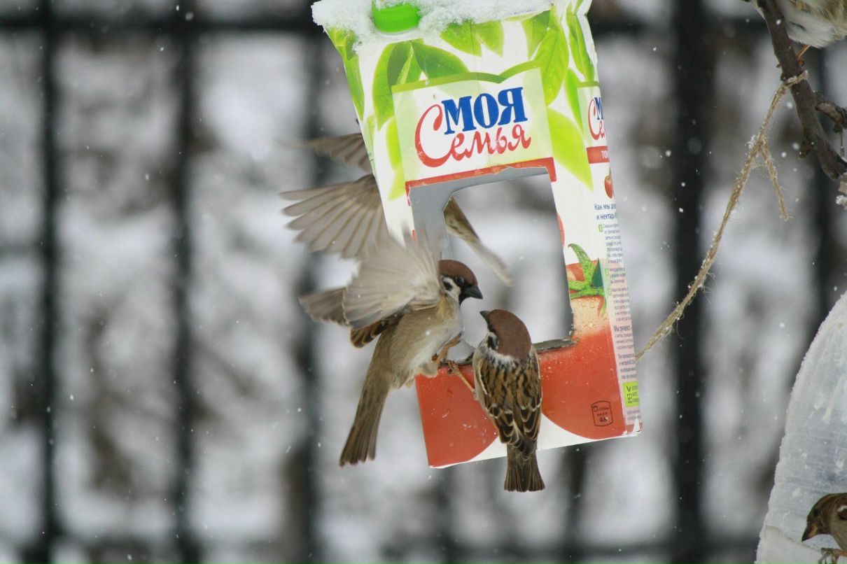 Никита Храмцов | Москва