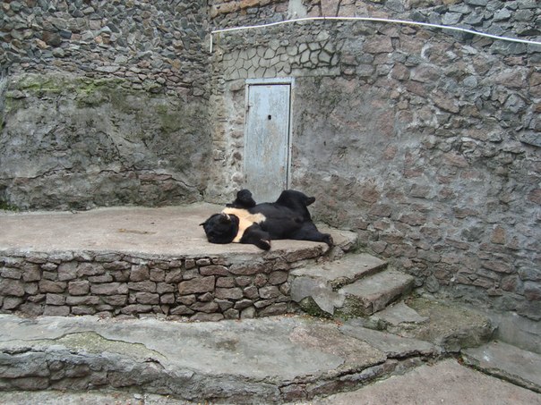 №51, Витос Клим, 40 лет, Николаев №51, Витос Клим, 40 лет, Николаев