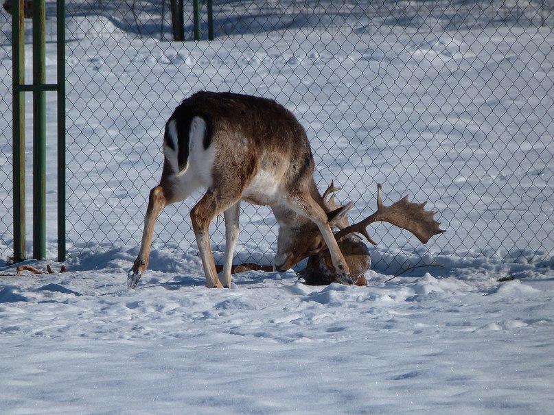 Инна Малмыга | Санкт-Петербург