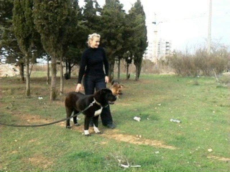 №24, Руслан Гордеев, Львов №24, Руслан Гордеев, Львов