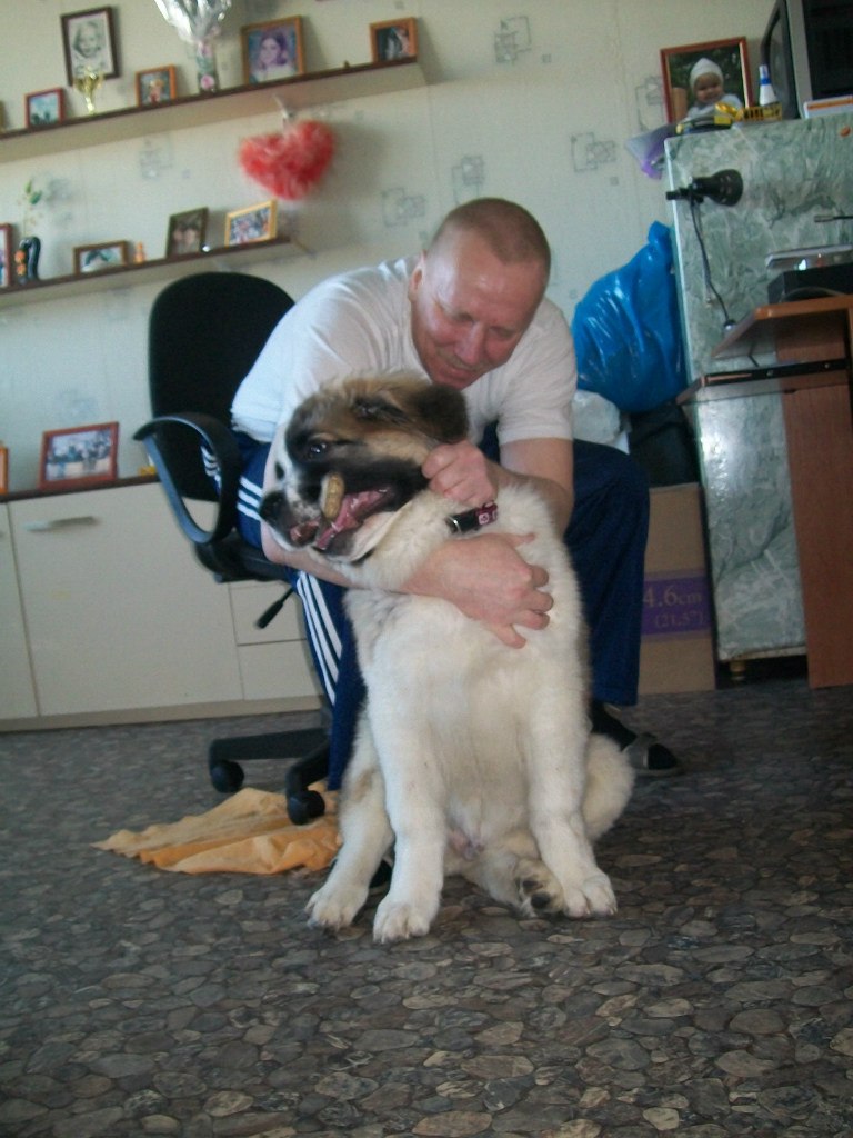 Михаил Нихезин | Санкт-Петербург