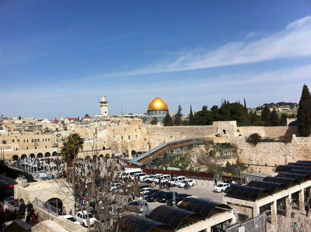 Анна Фактор | Ришон ЛеЦион