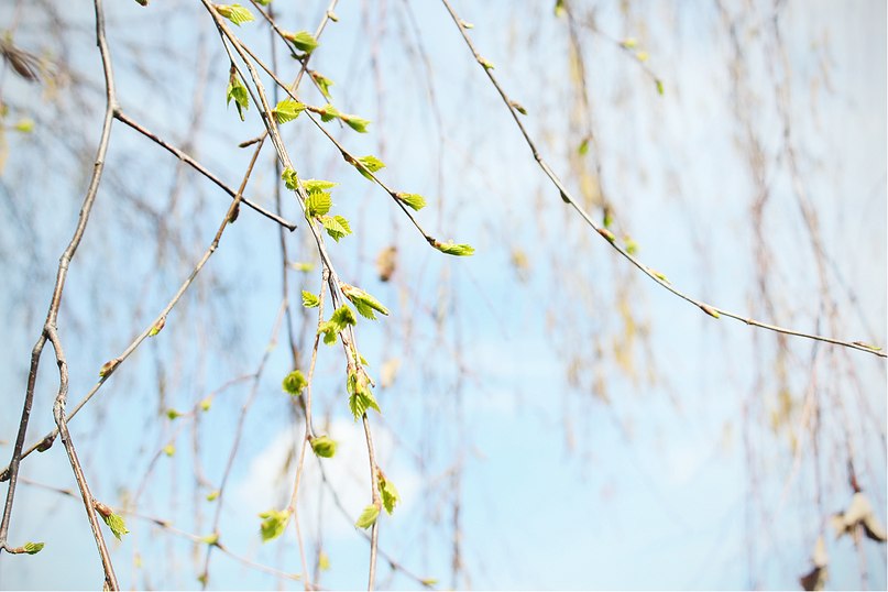 Евгений Катюшкин ♪ | 