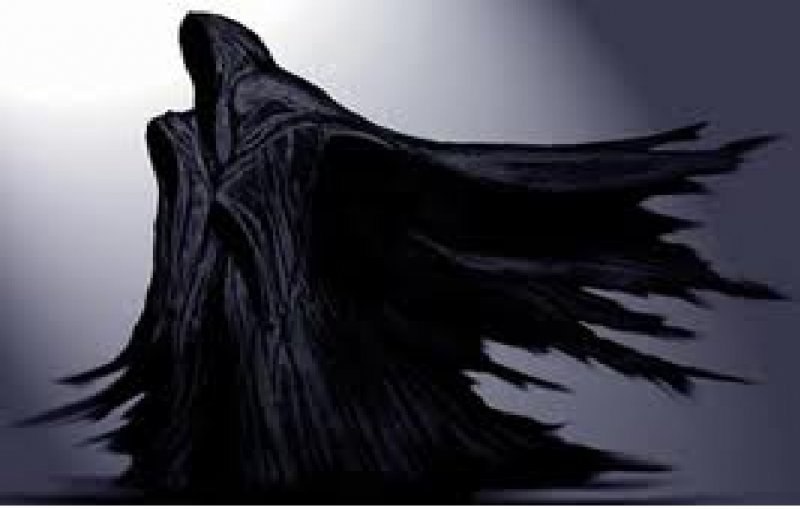 Леонид Сокол | Минск