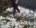 Светлана Мирошникова фотография #27