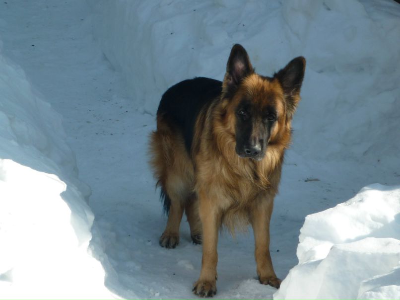 Мария Никитина | Электросталь