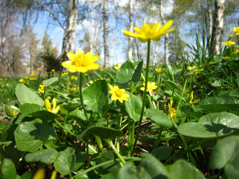 Анна Жукова | Волгоград