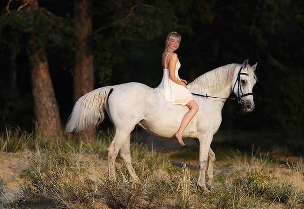 №51, Ирина Малиновская, Львов №51, Ирина Малиновская, Львов