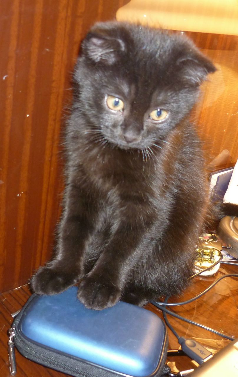 Анастасия Рычкова | Санкт-Петербург