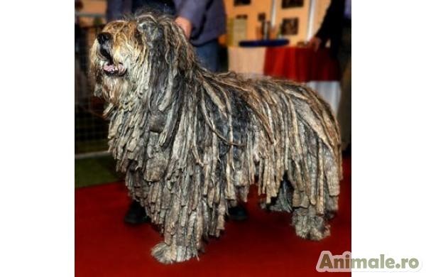 №166, Настасья Кононович, 36 лет, Минск №166, Настасья Кононович, 36 лет, Минск