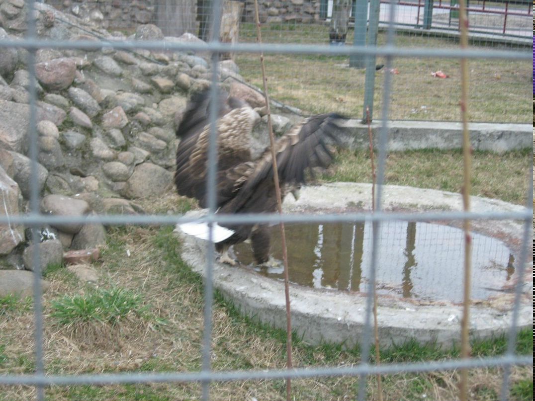 Алексей Николаюк | Брест