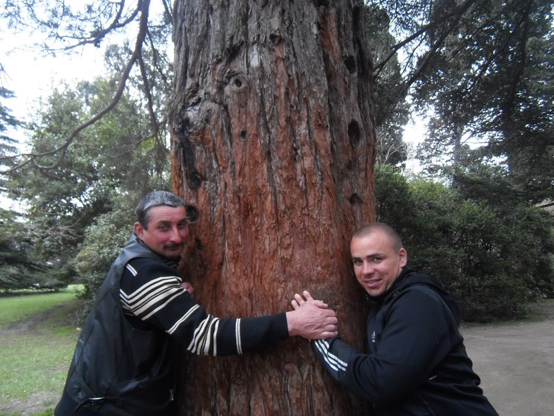 Сава Сава | Ровно