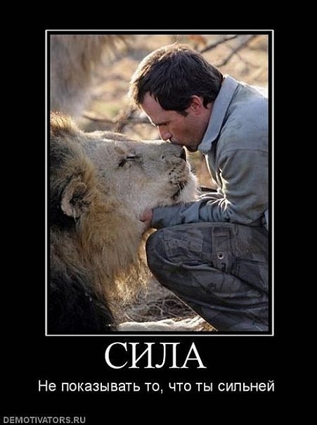 №64, Артур Болилый, 37 лет, Greifswald №64, Артур Болилый, 37 лет, Greifswald