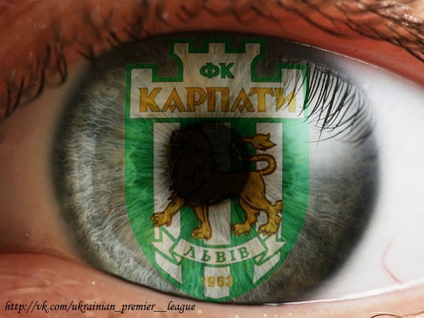 №7, Name Surname, Львов №7, Name Surname, Львов