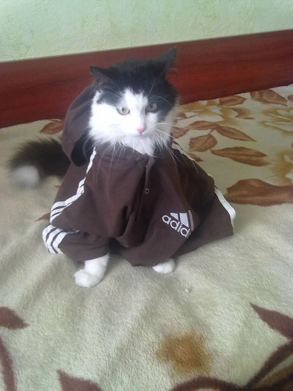 Олег Сливка | Брест