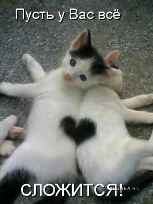 №6, Александр Пака, Харьков №6, Александр Пака, Харьков