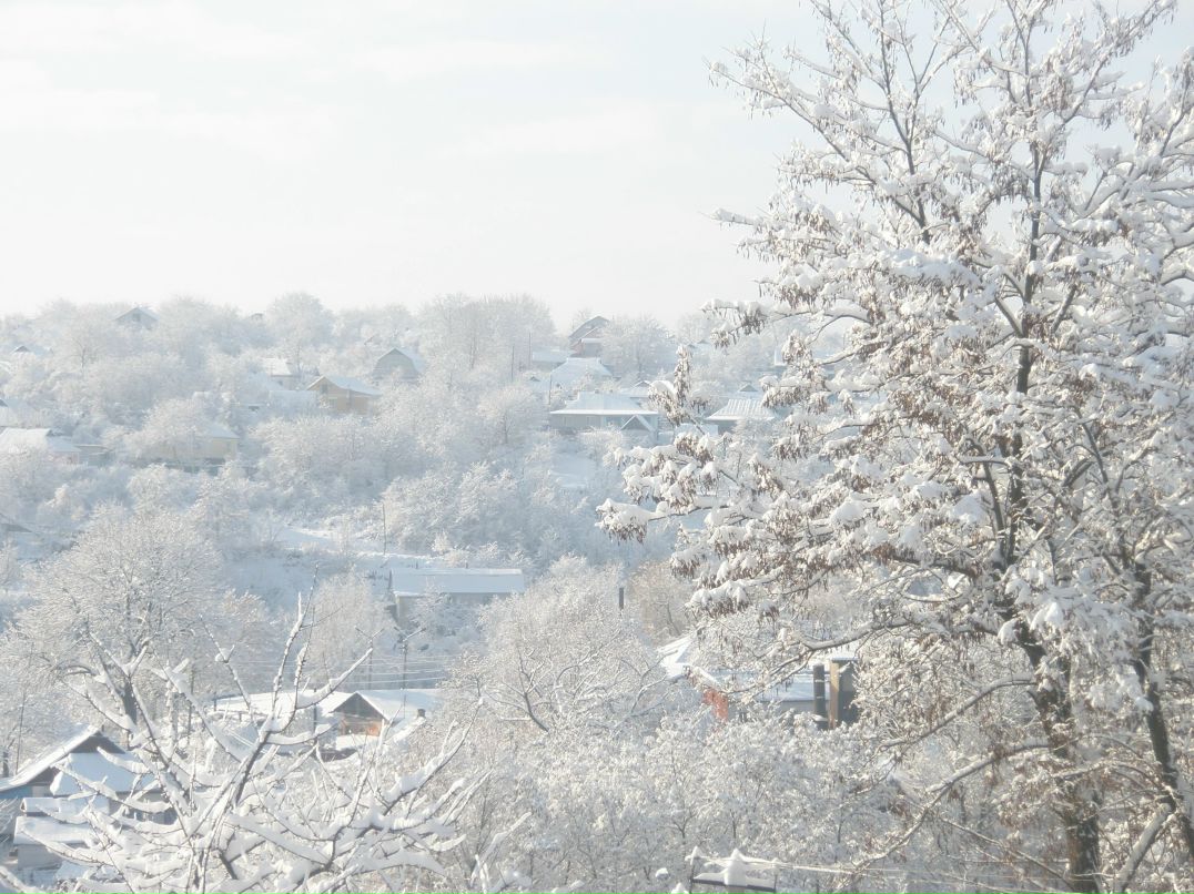 Людмила Беркатюк | Умань