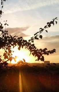 Наталья Васильева | Запорожье