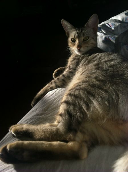 №140, Анна Булгак, Москва №140, Анна Булгак, Москва