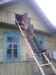Александр Иванов фотография #35