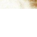 №29, Виталина Мач, Харьков №29, Виталина Мач, Харьков