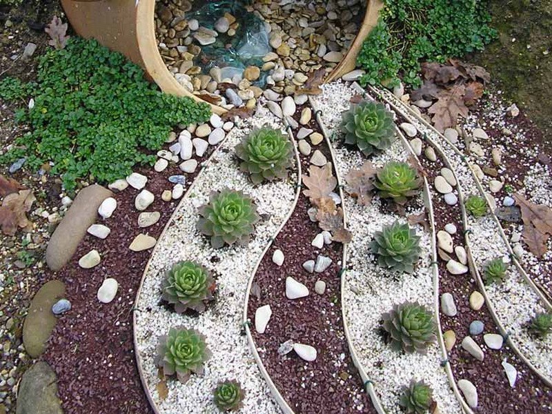 Василий Анкудинов | Полтава