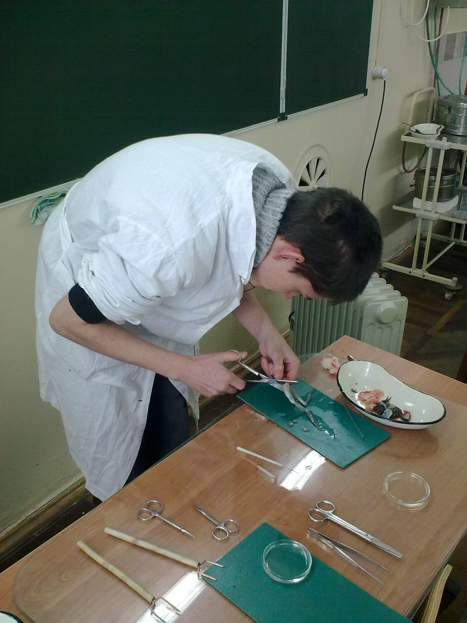 Антон Лобанов | Ульяновск