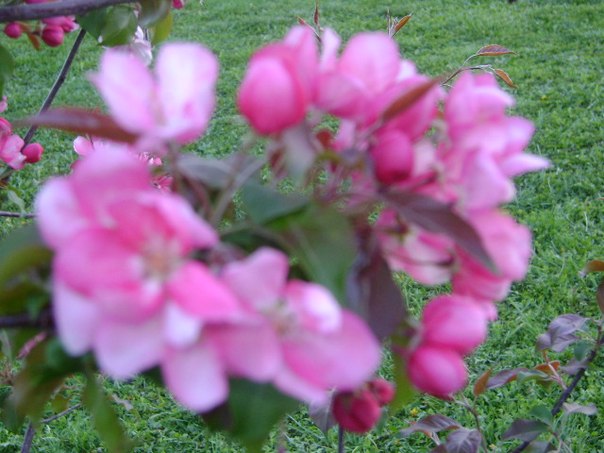 №16, Ринат Кудакаев №16, Ринат Кудакаев