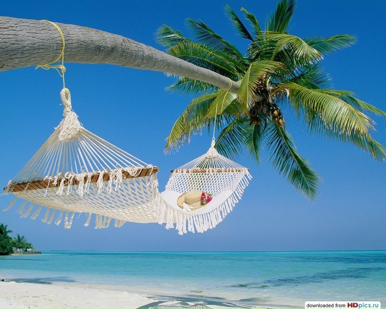 №12, Светлана Протасова №12, Светлана Протасова