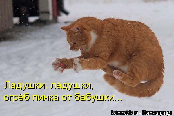 Антон Лёликов QuAZaR | Липецк