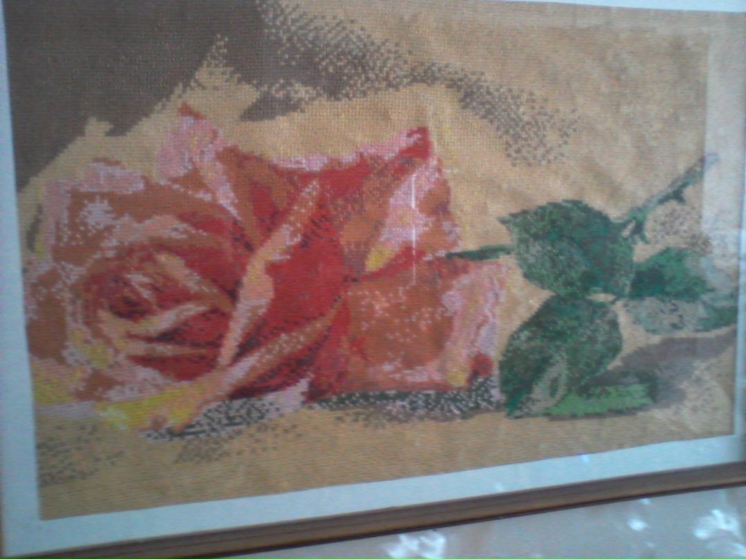 Dino Cavallone | Москва