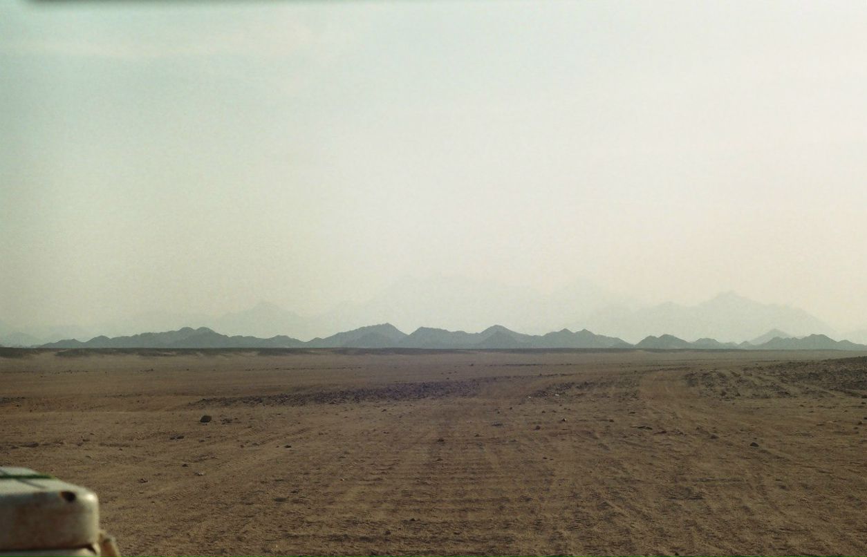 Роман Шеклфорд | 