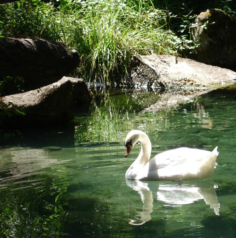 Полина Чесная | Москва