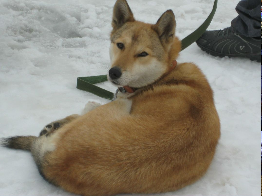 Артем Попов | Йошкар-Ола