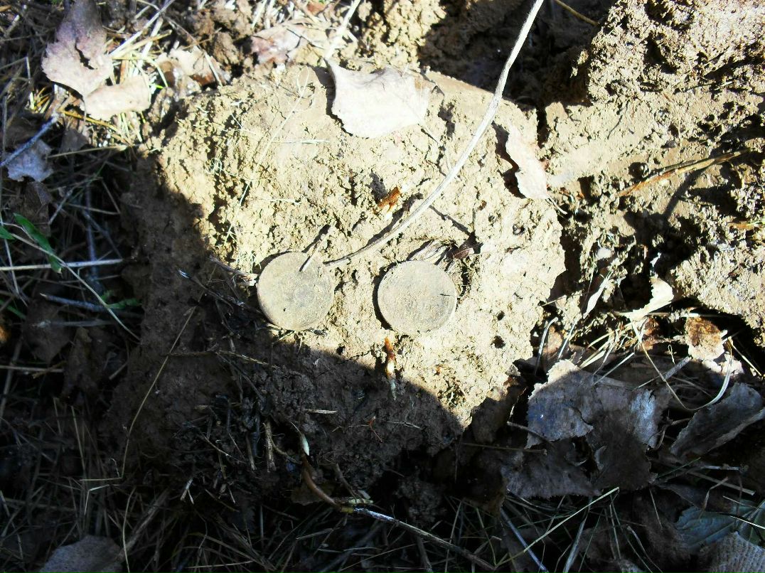 Максим Смирнов | Можайск